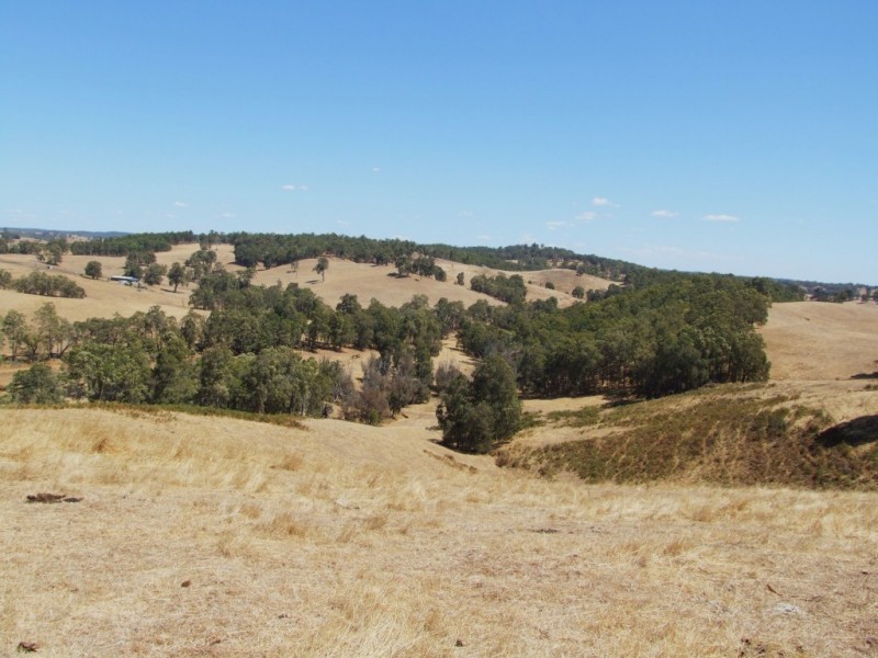 59 Little Road, Thomson Brook WA 6239