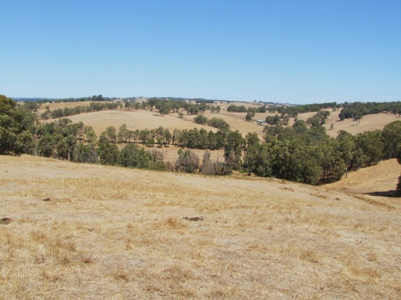 59 Little Road, Thomson Brook WA 6239