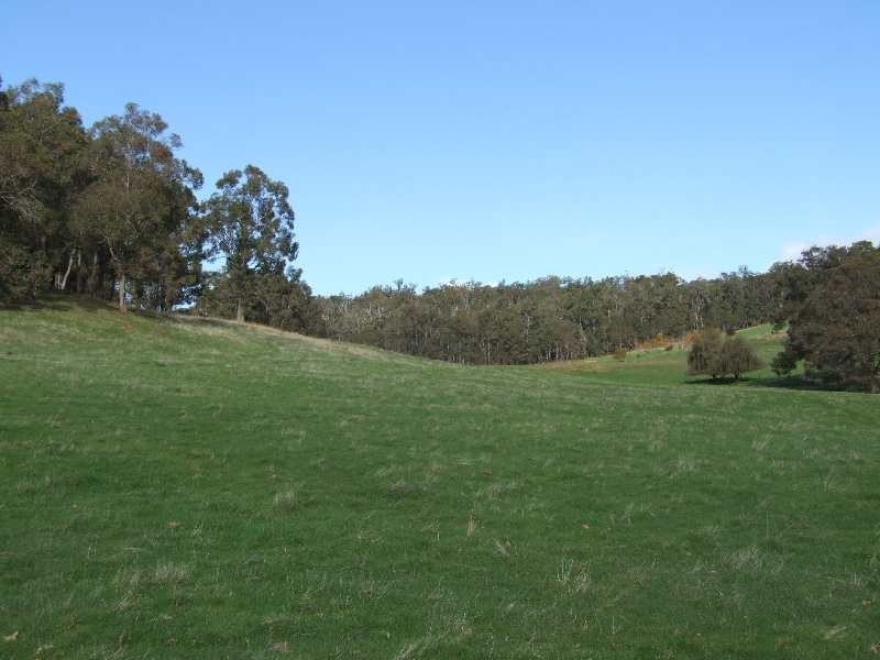 226 Valetine Road, Newlands WA 6251