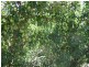 642 Hurst Rd, Argyle WA 6239