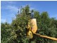 642 Hurst Rd, Argyle WA 6239