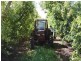 642 Hurst Rd, Argyle WA 6239