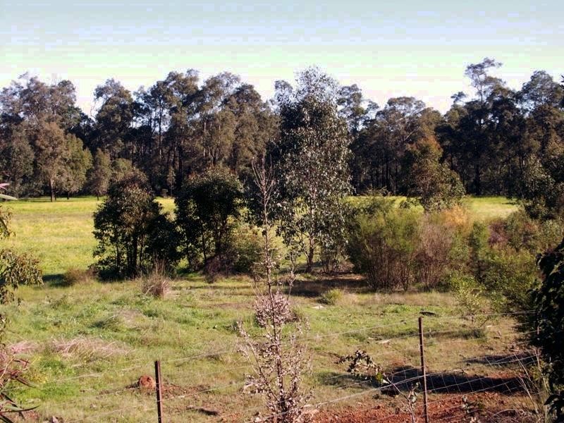 642 Hurst Rd, Argyle WA 6239