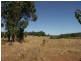 Lot 296, 98 Trigwell St, Donnybrook WA 6239