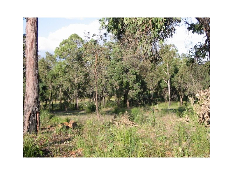 39 Leschenaultia Circle, Donnybrook WA 6239