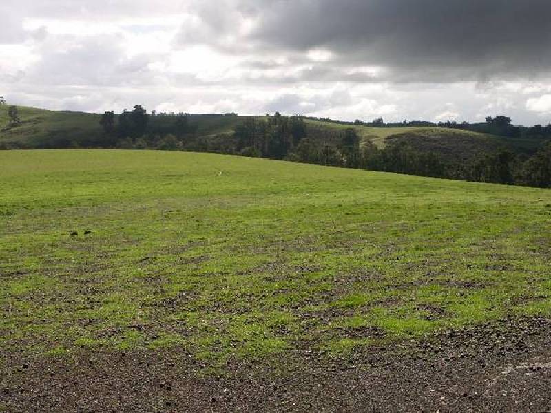 59 King Spring Road, Donnybrook WA 6239