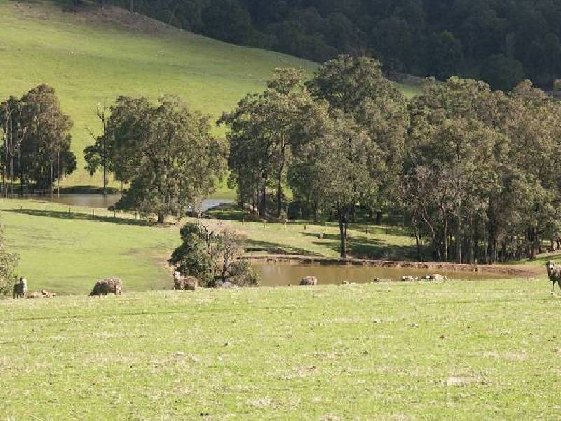 59 King Spring Road, Donnybrook WA 6239