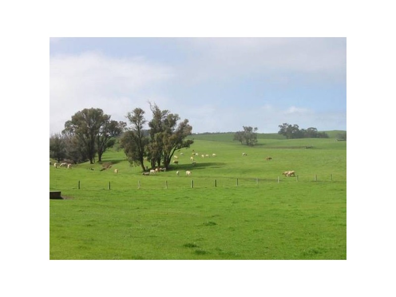 Lot 20 Mandalay Road, Donnybrook WA 6239