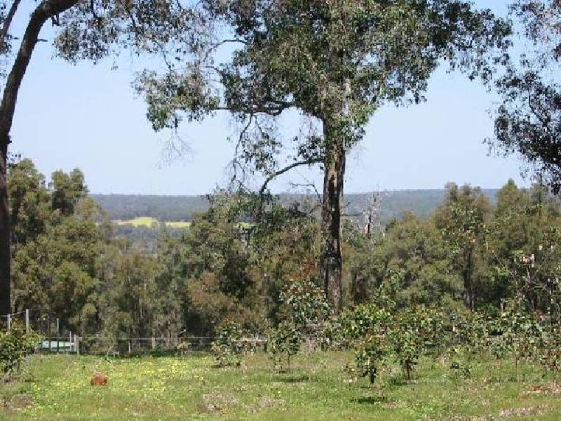 141 Myrtle Ridge, Argyle WA 6239