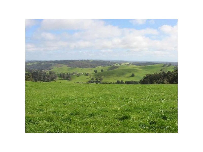 396 Thomson Brook Rd, Thomson Brook WA 6239