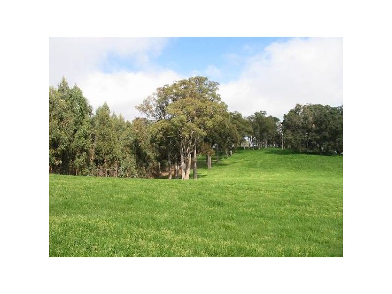 396 Thomson Brook Rd, Thomson Brook WA 6239