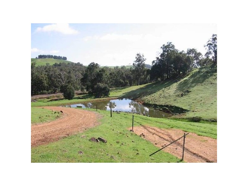 396 Thomson Brook Rd, Thomson Brook WA 6239