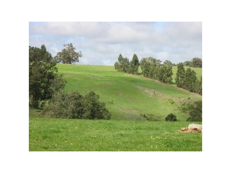 396 Thomson Brook Rd, Thomson Brook WA 6239