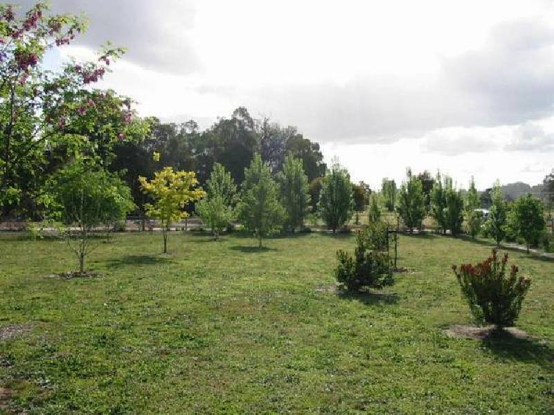 6 Jones Street, Donnybrook WA 6239