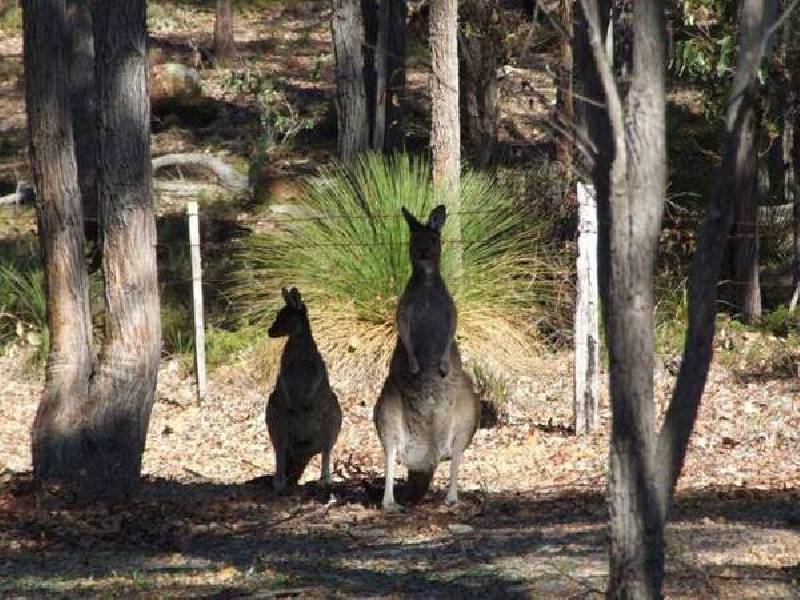 43 Miller Road, Donnybrook WA 6239