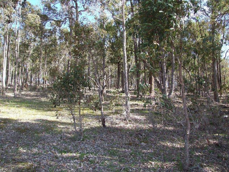 Lot 103, 87 Myrtle Ridge, Argyle WA 6239