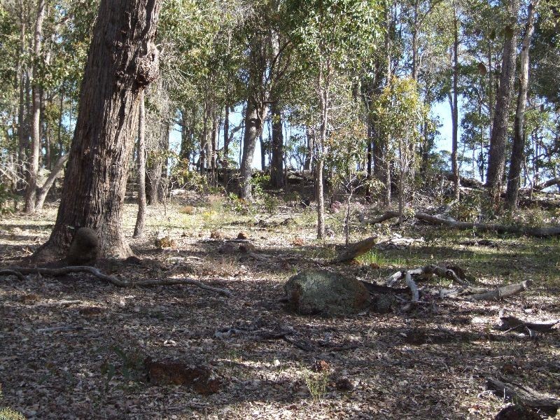 Lot 103, 87 Myrtle Ridge, Argyle WA 6239