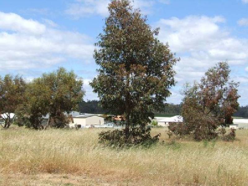 22 Melaleuca Place, Donnybrook WA 6239