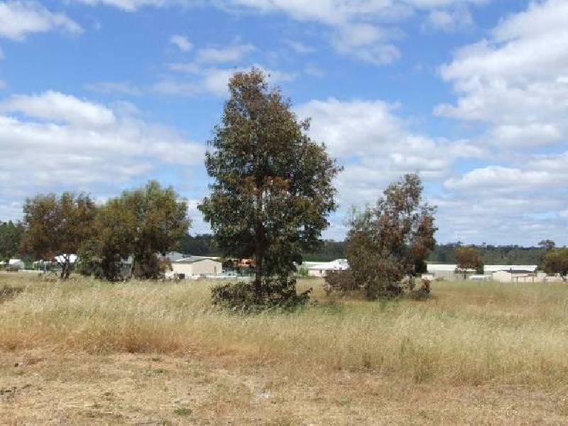 22 Melaleuca Place, Donnybrook WA 6239