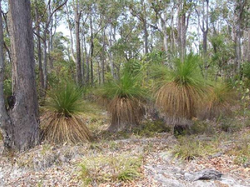 831 Hurst Road, Argyle WA 6239