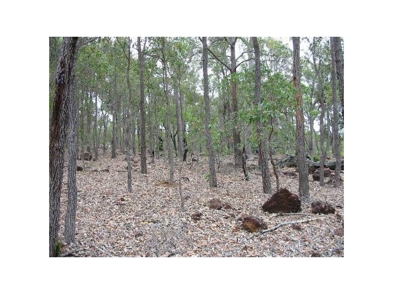 134 Hetherington Road, Argyle WA 6239