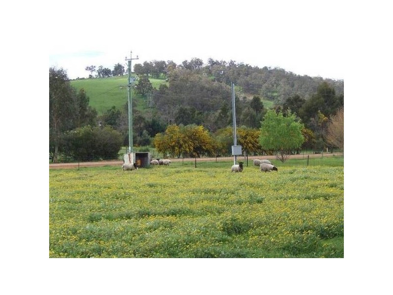 8 Russell Street, Donnybrook WA 6239