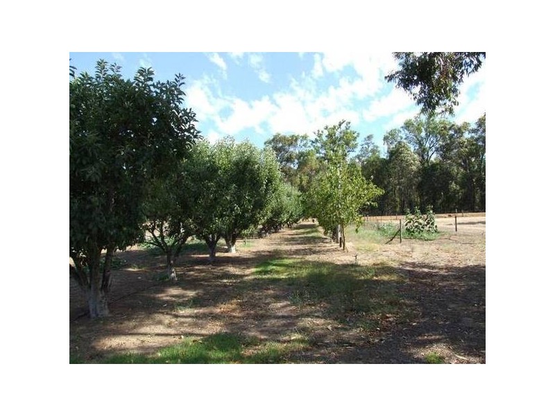 8 Russell Street, Donnybrook WA 6239