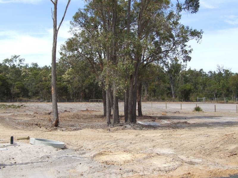 Satinwood Brace, Donnybrook WA 6239