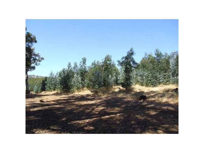 4223/17 Ferguson Road, Donnybrook WA 6239