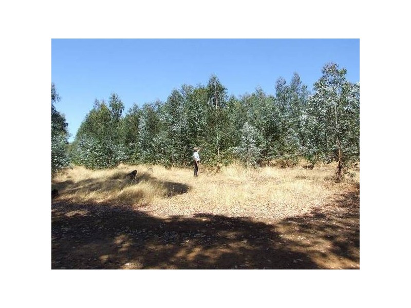 4223/17 Ferguson Road, Donnybrook WA 6239