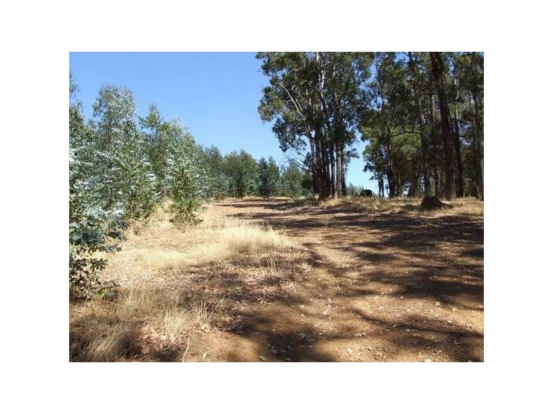 4223/17 Ferguson Road, Donnybrook WA 6239