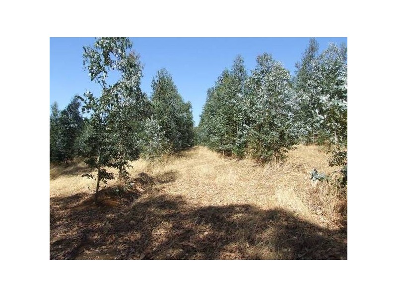 4223/17 Ferguson Road, Donnybrook WA 6239