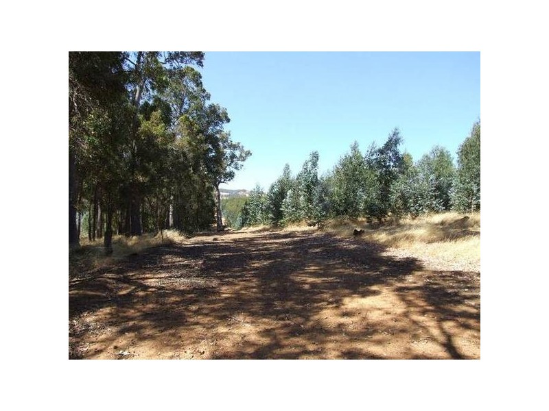 4223/17 Ferguson Road, Donnybrook WA 6239