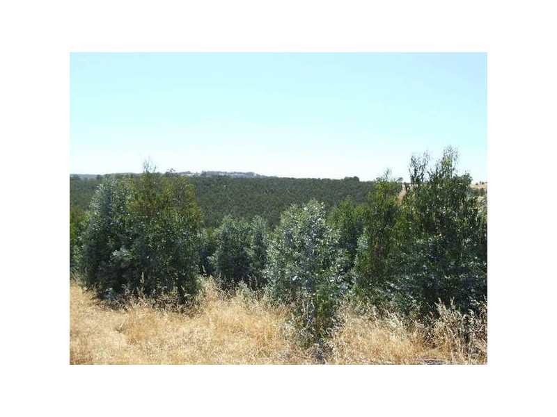 4223/17 Ferguson Road, Donnybrook WA 6239