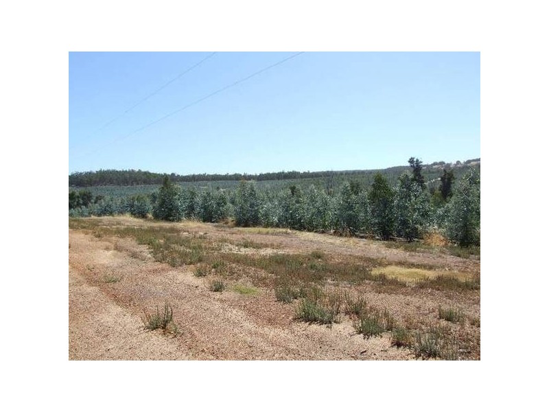 4223/17 Ferguson Road, Donnybrook WA 6239