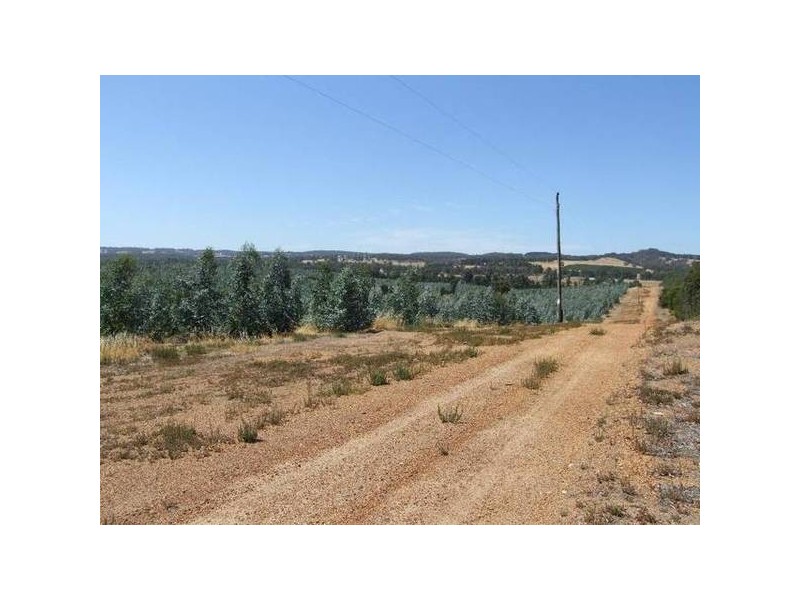 4223/17 Ferguson Road, Donnybrook WA 6239