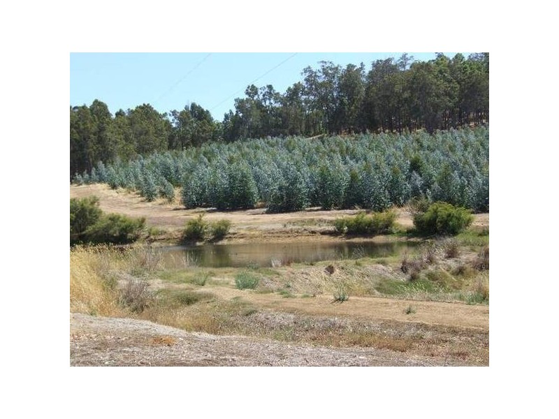 4223/17 Ferguson Road, Donnybrook WA 6239