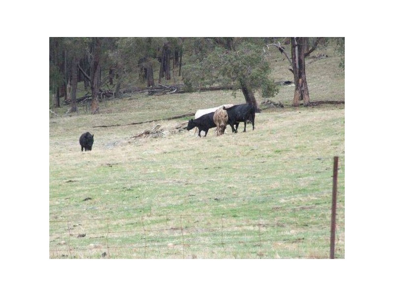 567 Brookhampton Road, Brookhampton WA 6239