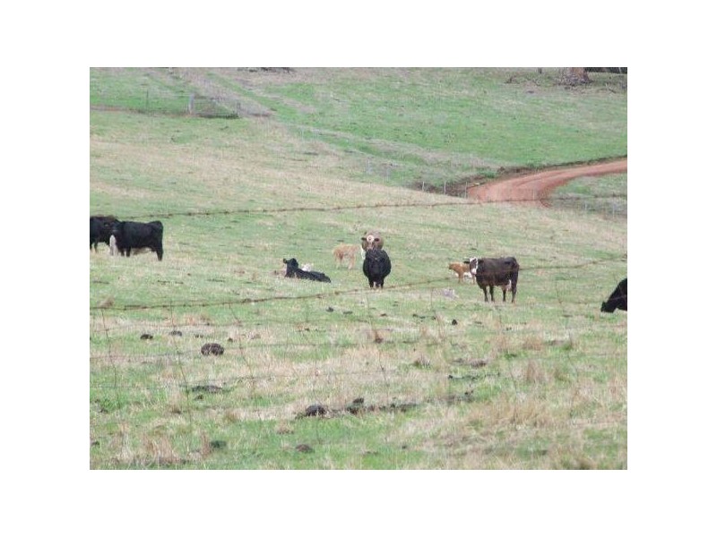 567 Brookhampton Road, Brookhampton WA 6239