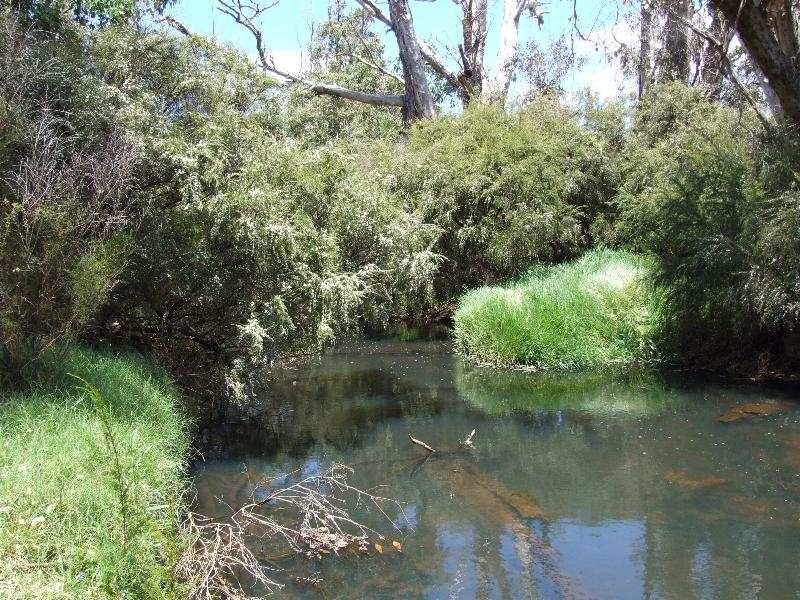 1565 Boyup Brook Road, Yabberup WA 6239