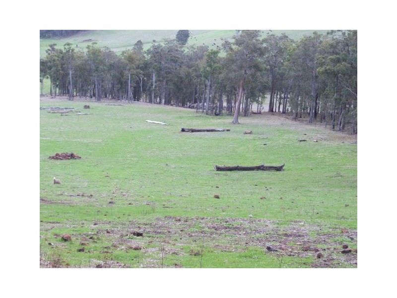 10165 Warner Street, Mullalyup WA 6252