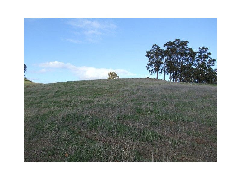 10165 Warner Street, Mullalyup WA 6252