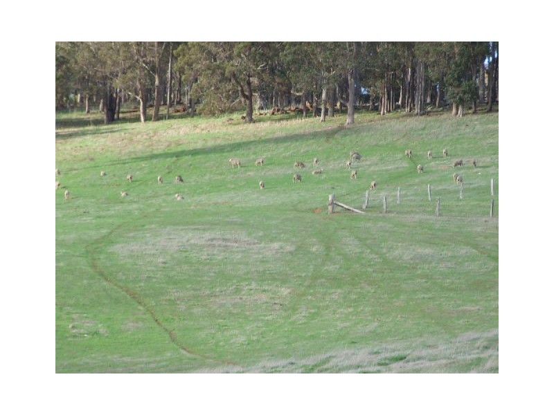 10165 Warner Street, Mullalyup WA 6252