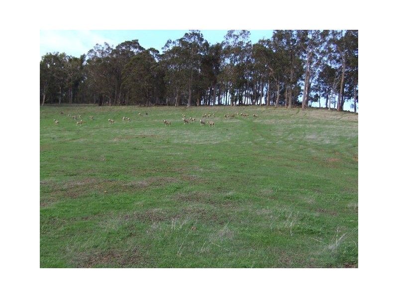 10165 Warner Street, Mullalyup WA 6252