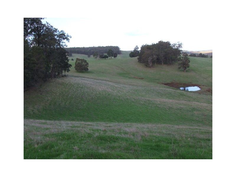 10165 Warner Street, Mullalyup WA 6252