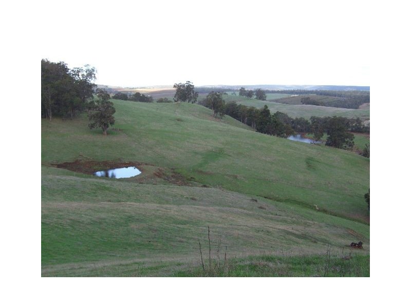 10165 Warner Street, Mullalyup WA 6252