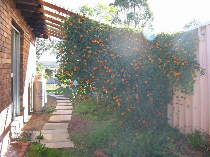 24 BOND STREET, Donnybrook WA 6239