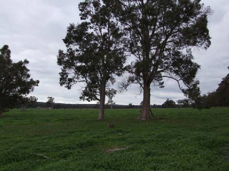 10 Cundinup Road, Kirup WA 6251