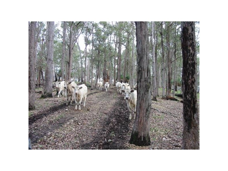 278 King Spring Road, Thomson Brook WA 6239