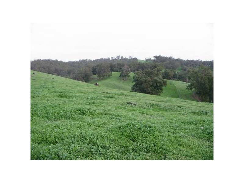 57 King Spring Road, Thomson Brook WA 6239